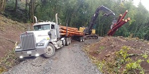 W900 log truck in the ditch