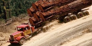 Dangerous Biggest Logging Truck Climbing Skill  Fastest Crossing Wooden Bridges and High Steep Hills