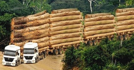 Amazing Dangerous Biggest Logging Wood Truck Operator Skills - Fastest Climbing Wood Truck Driving